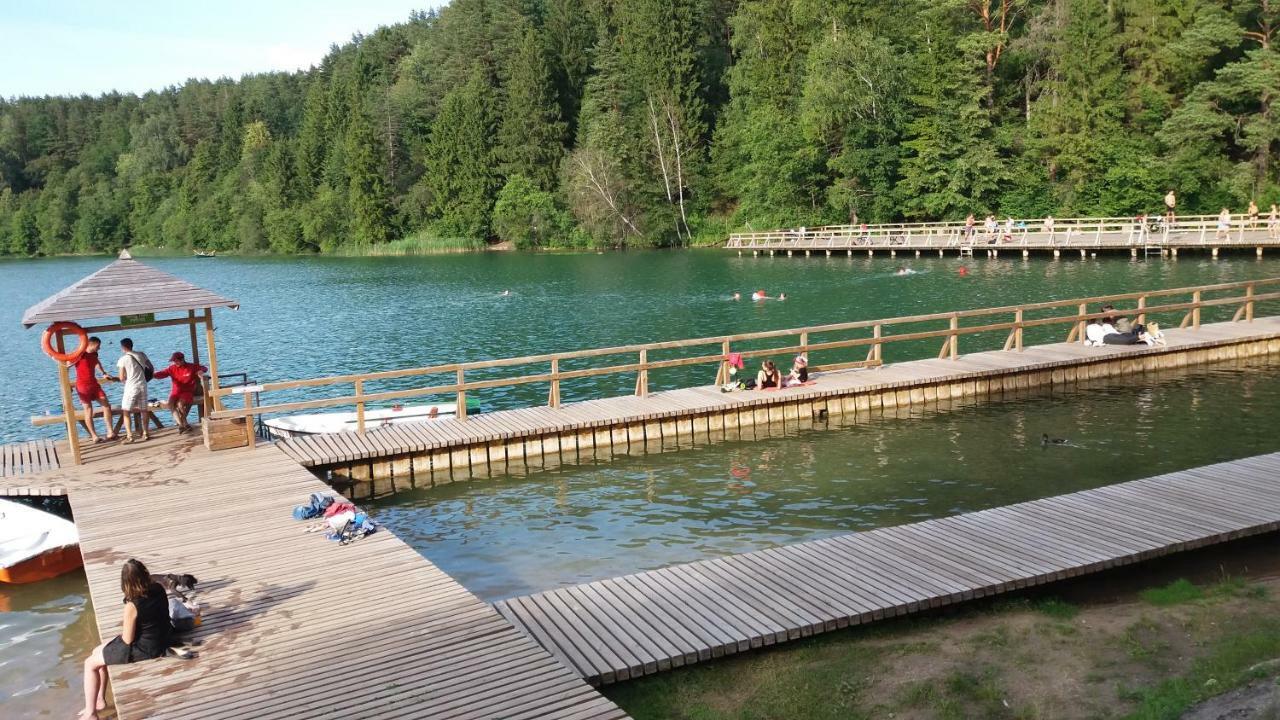 Verkiu Namelis Вильнюс